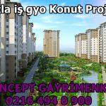 Tuzla iş gyo Konut Projesi